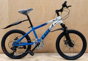 luta kids bicycle size 22 (2)