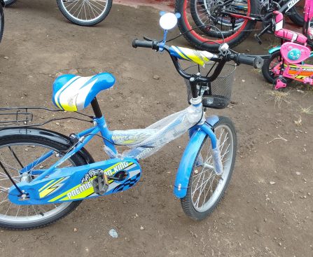 blue lion king size 20