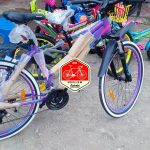 planet daisy purple size 26