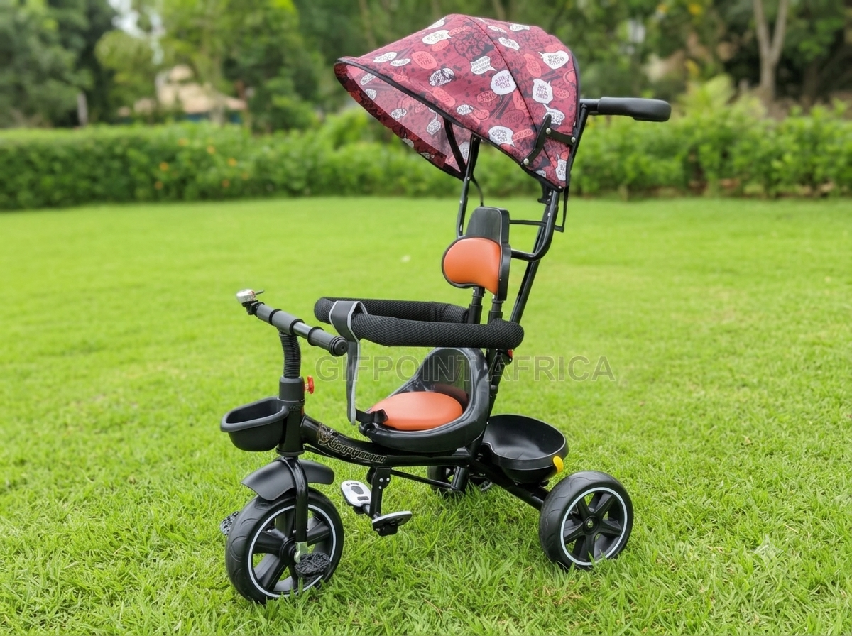 Canopy tricycle + push handle bar for kids 1-4 years (2)