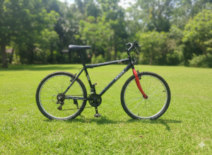 ex-uk bike arden mtb steel frame size 26