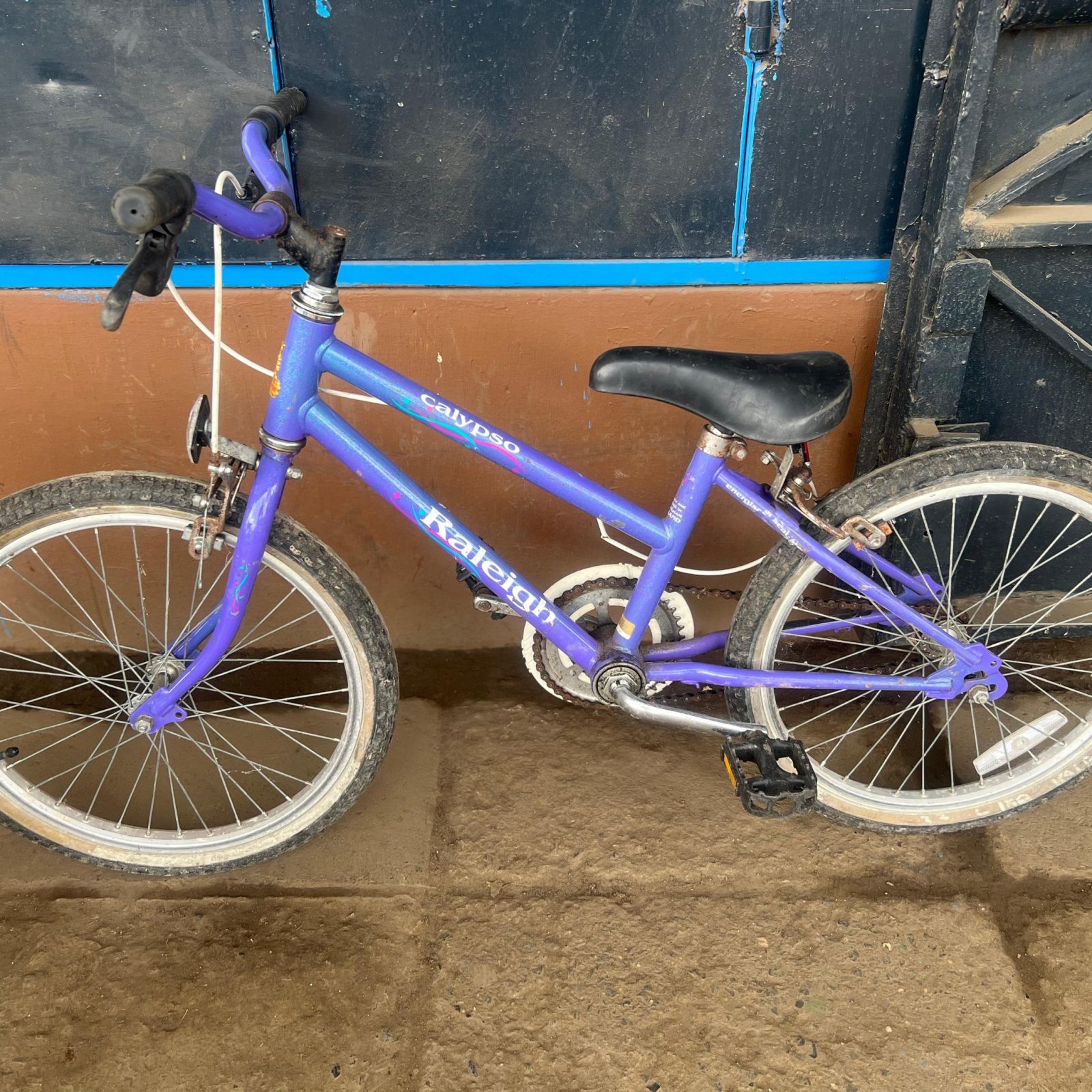 Raleigh ex UK kids bicycle size 20