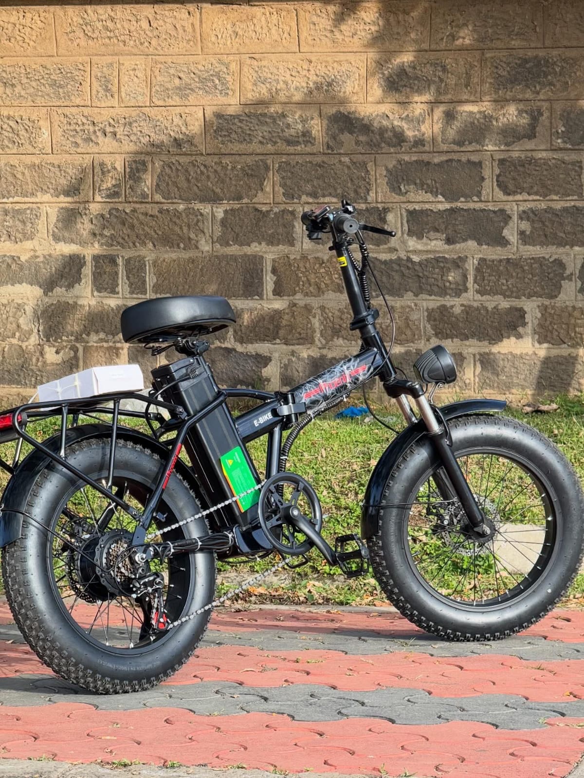 Phoenix fat tire Ebike