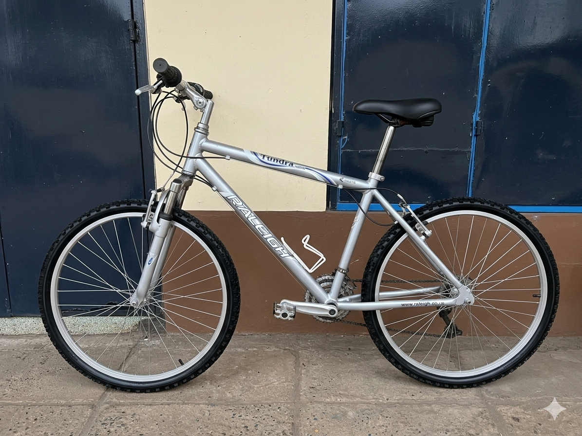 Raleigh Tundra size 26